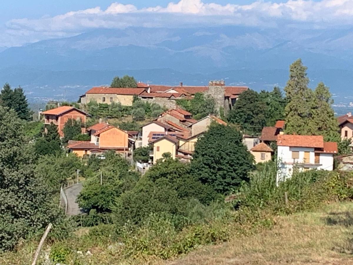 Bouganville Viverone Zewnętrze zdjęcie